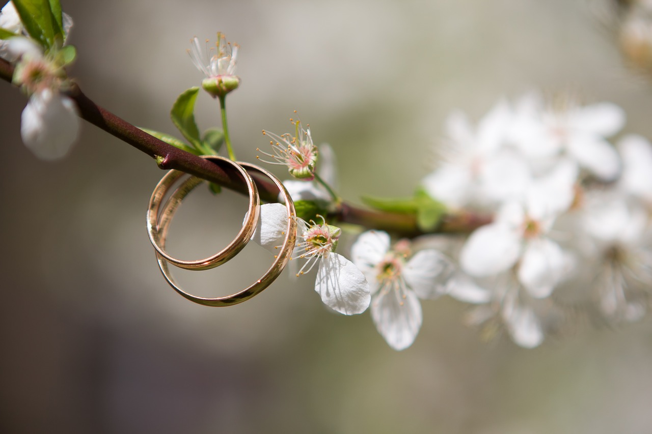 Two wedding bands hanging from a blossoming tree branch.