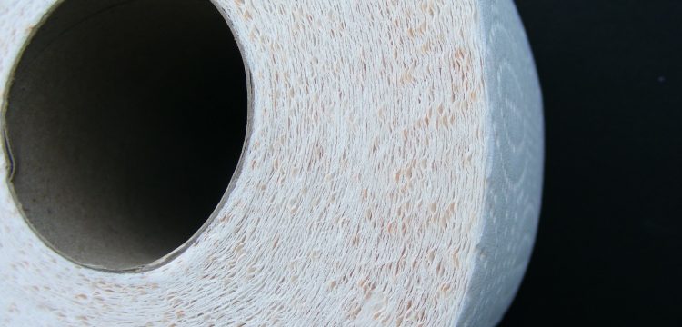 Close up of a roll of toilet paper.