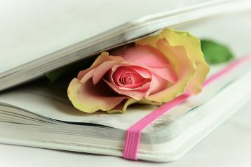 A yellow and pink rose pressed between the pages of a book.