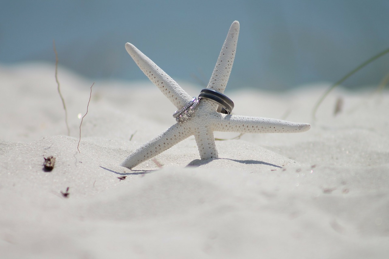 A starfish in the sand with two wedding rings on it.