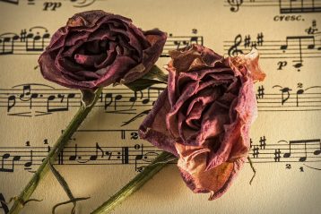 Dried pink roses lying on sheet music.