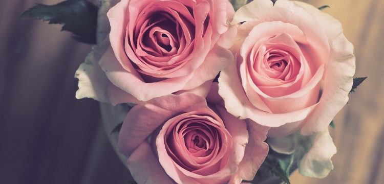 Three pink roses.