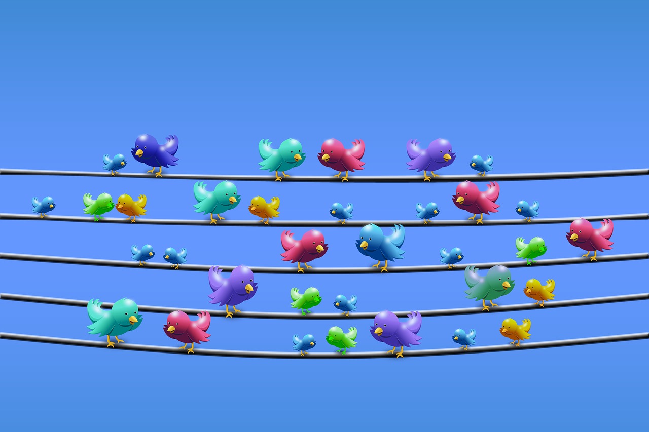 Image intended to remind one of Twitter, with duplicate Twitter birds sitting on wires.
