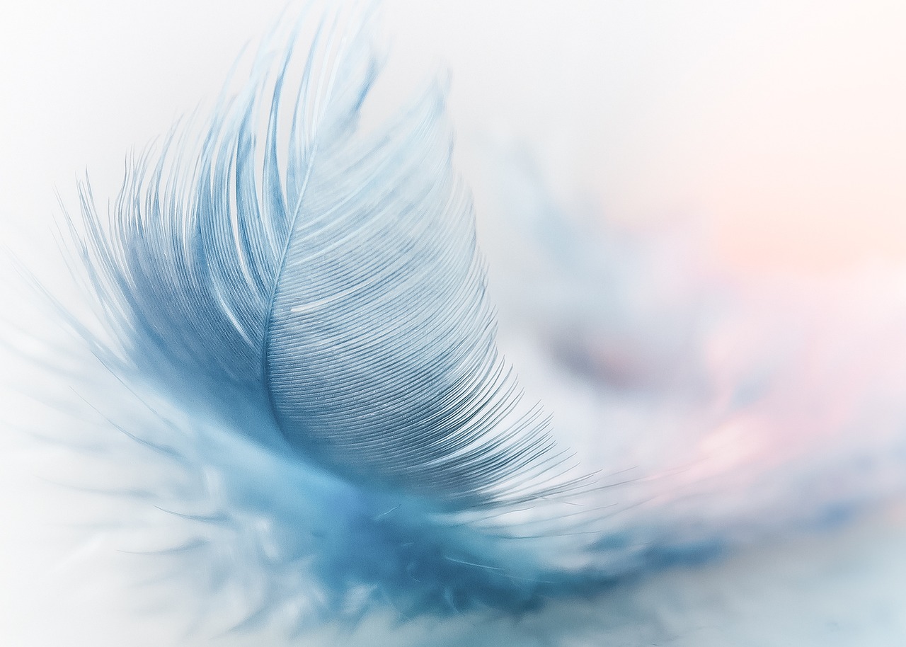 Feathers.