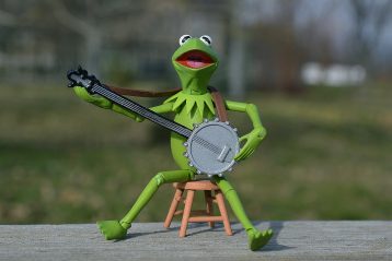 Kermit the Frog.