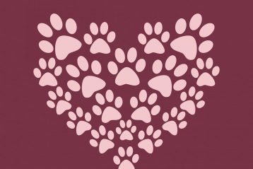 Paw prints in the shape of a heart.