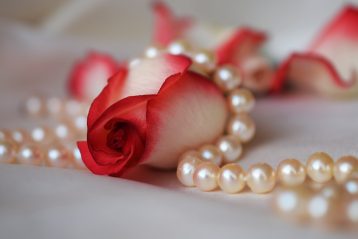 A rose with pearls.