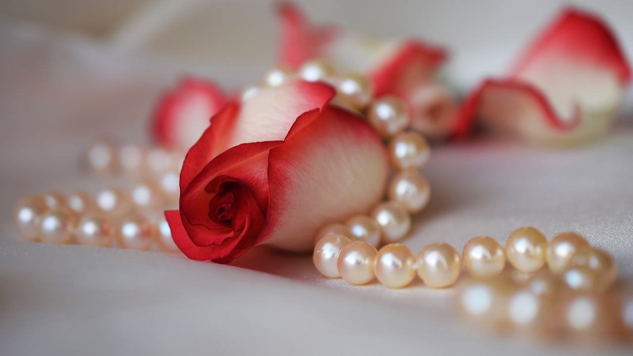 A rose with pearls.