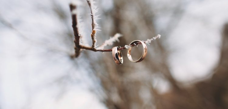 Wedding rings hanging on an icy branch.