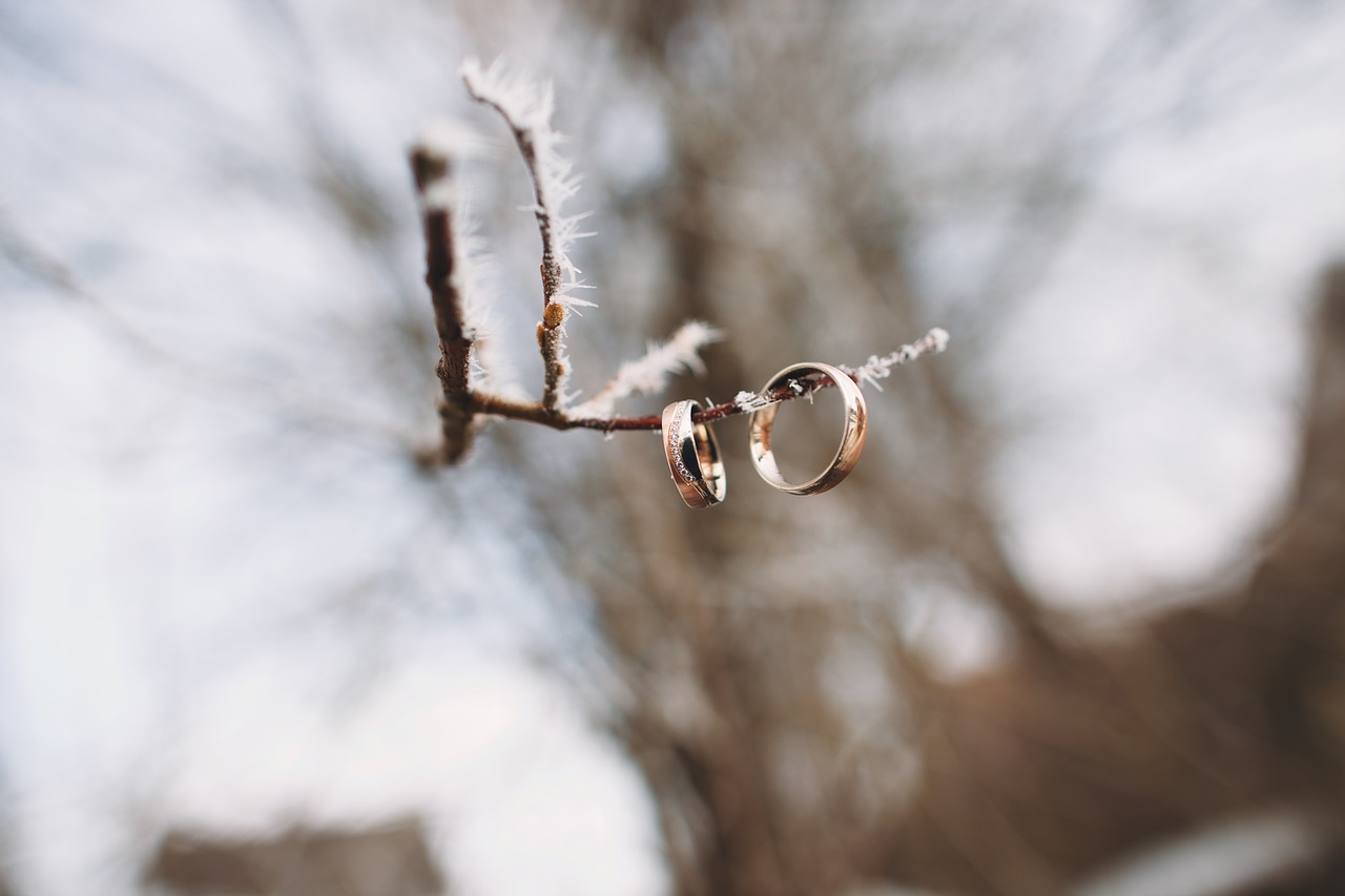 Wedding rings hanging on an icy branch.