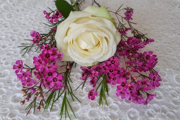 White rose with bright pink flowers.