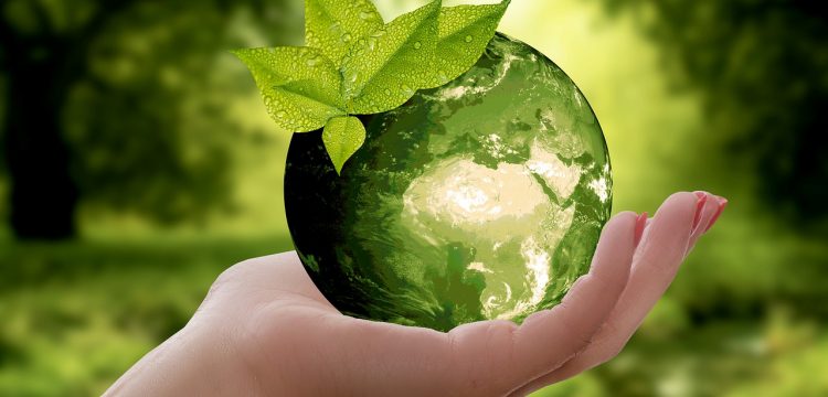 Green globe signifying sustainability.