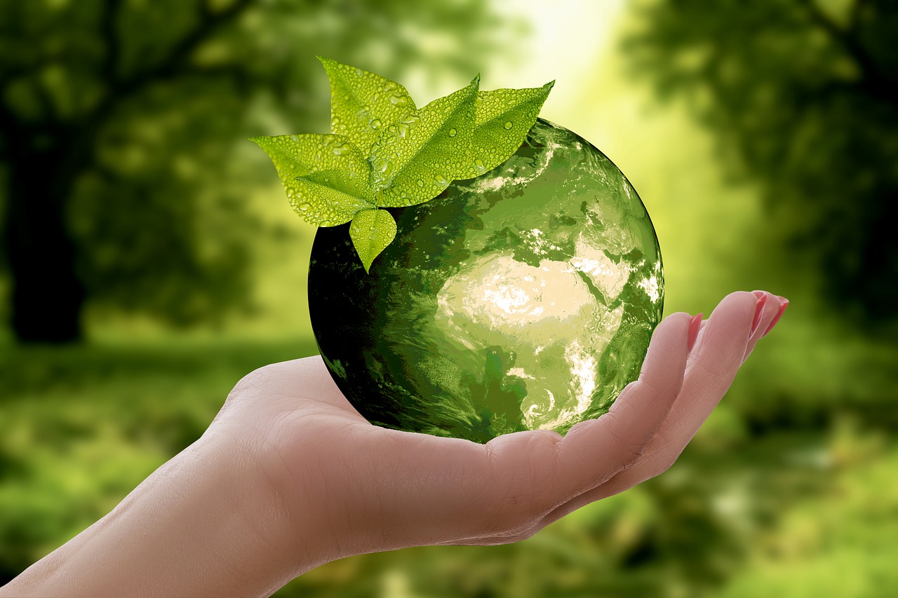 Green globe signifying sustainability.