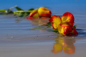 Flowers laying in the sand on a beach.