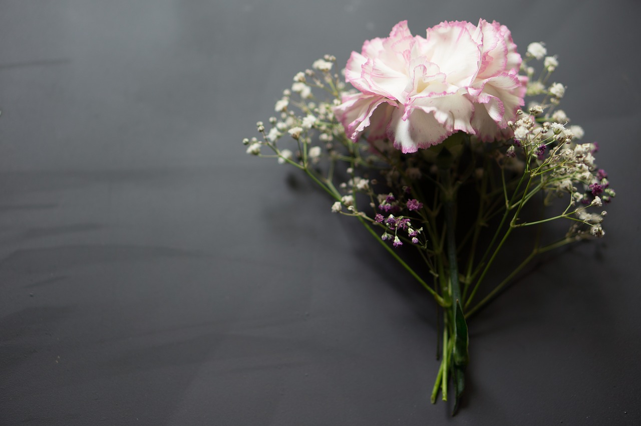 A pink carnation with baby's breath.