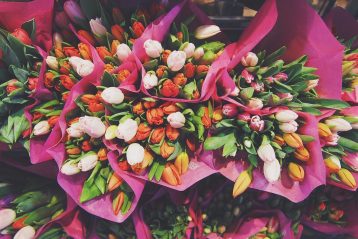 Bunches of brightly colored tulips.