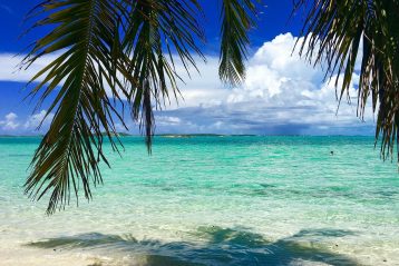 A beach in the Bahamas.