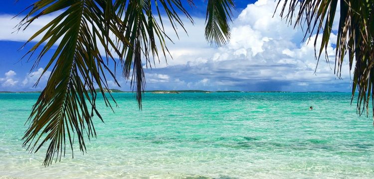 A beach in the Bahamas.