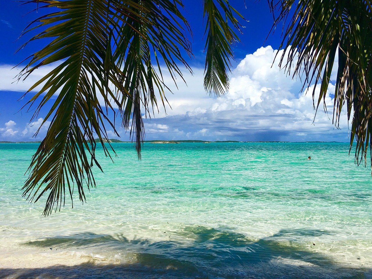 A beach in the Bahamas.