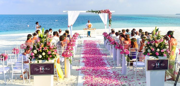 Wedding guests at a beach wedding.