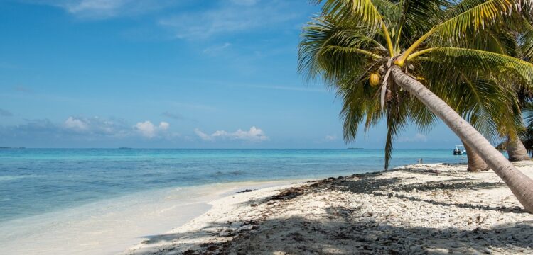 A beach on Belize.