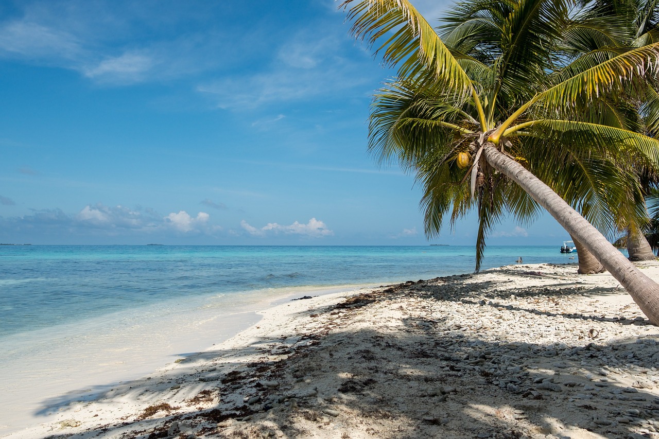 A beach on Belize.